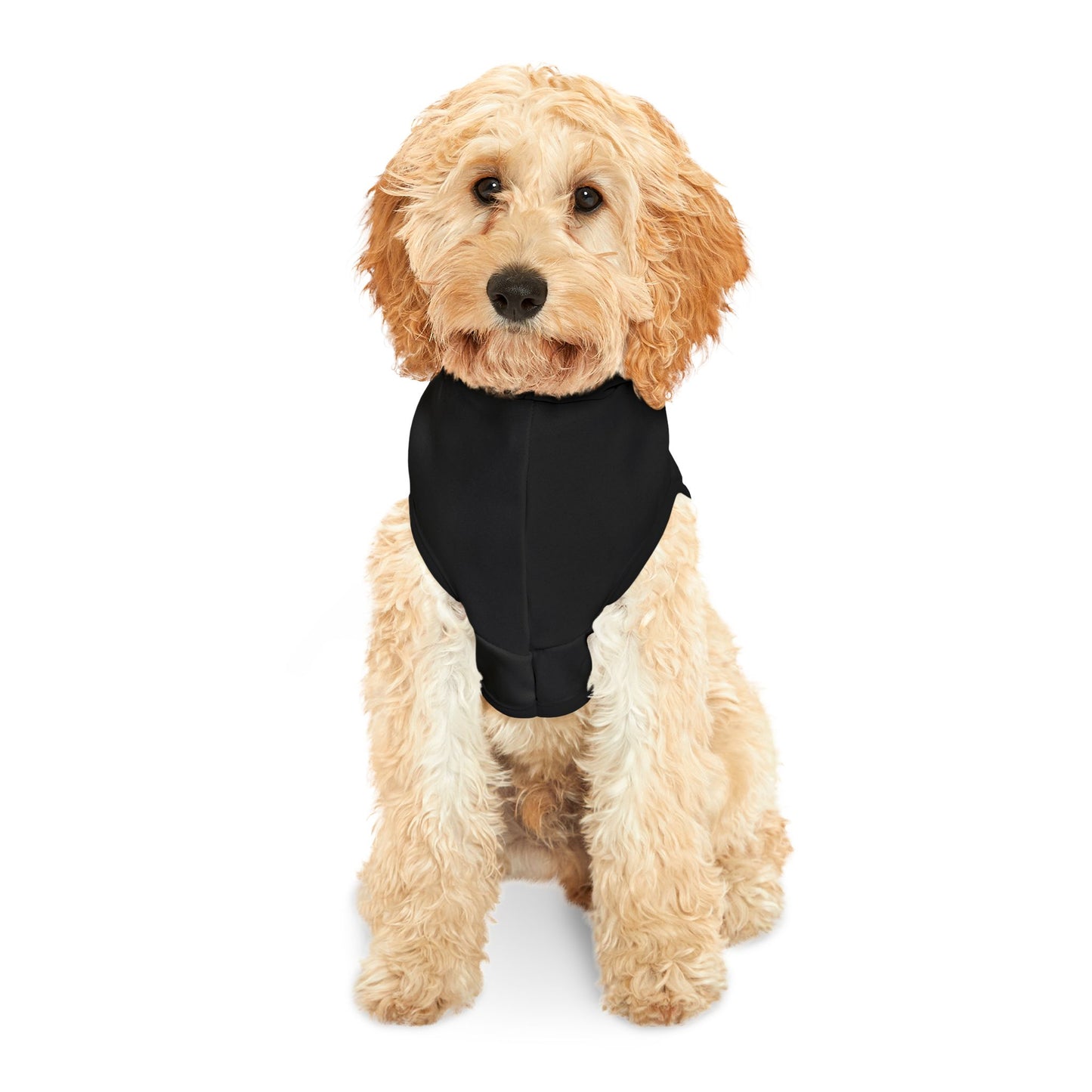 "Love is Love" Rainbow Paw Print Dog & Cat Hoodie