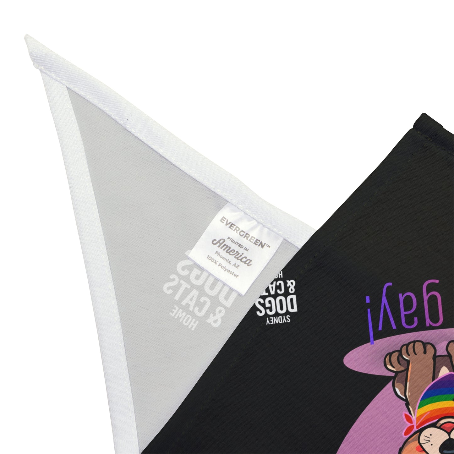 Pet Bandana — "Both My Parents Are Gay" Rainbow Dog Bandana (Pride Pet Accessory)