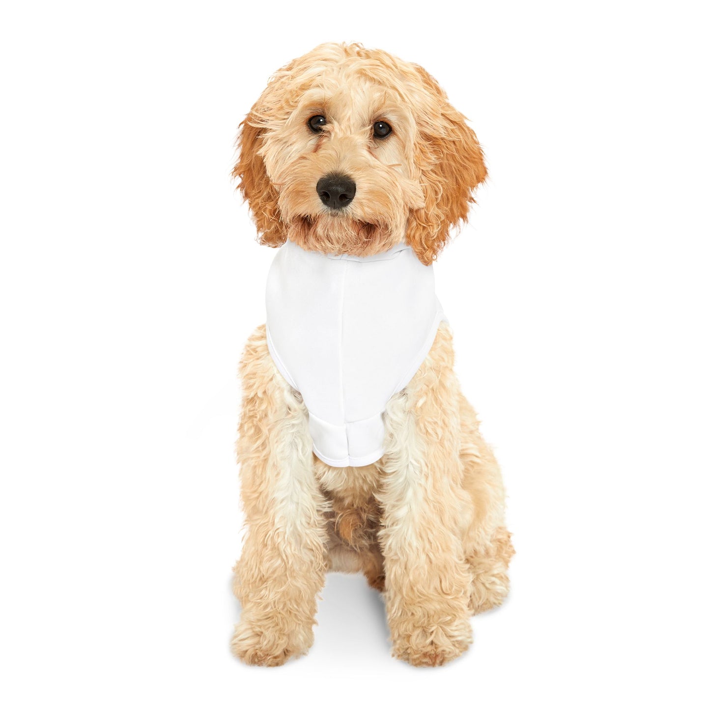 "Love is Love" Rainbow Paw Print Dog & Cat Hoodie