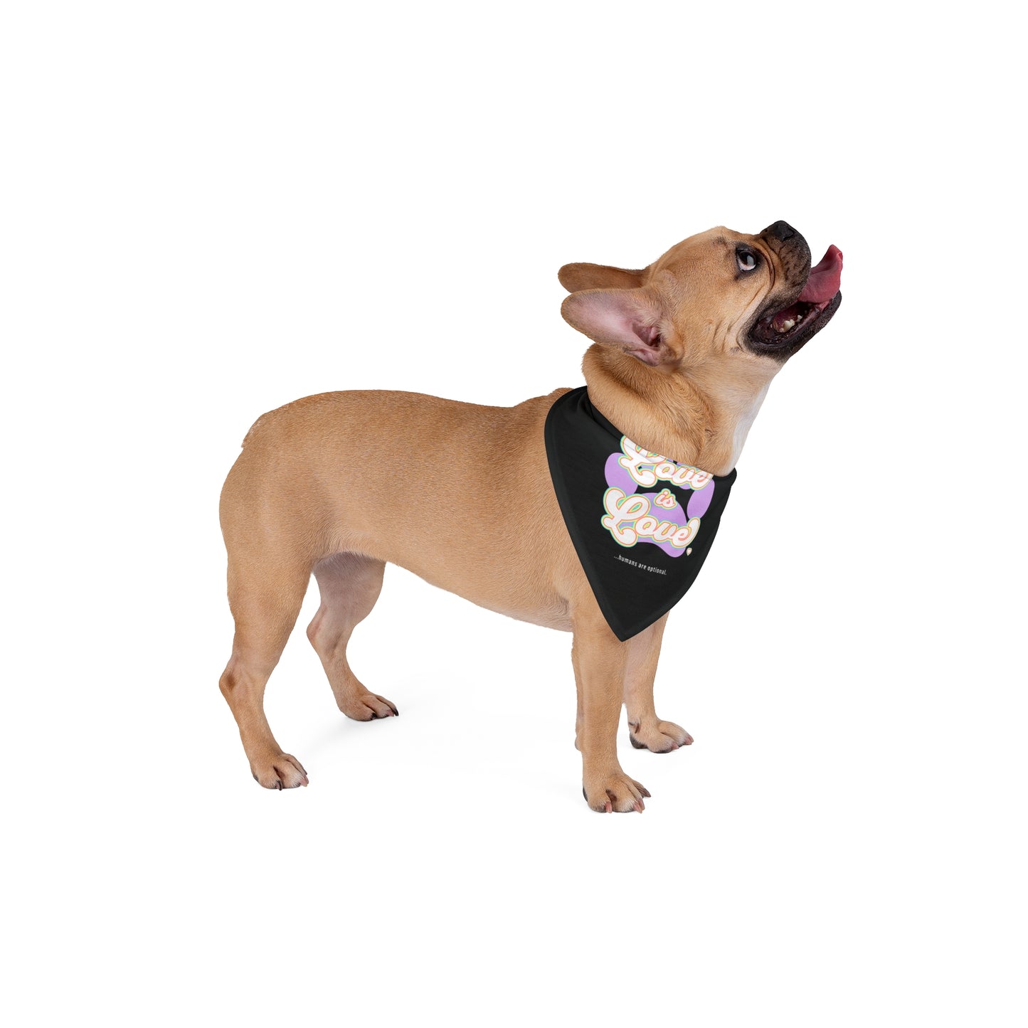Pet Bandana — "Love is Love" Pride Paw Print Bandana for Dogs & Cats